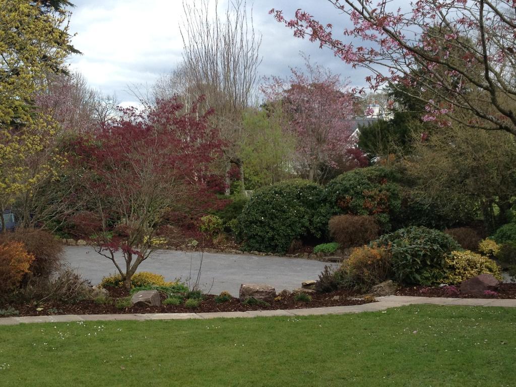 Raheen House Hotel Clonmel Dış mekan fotoğraf