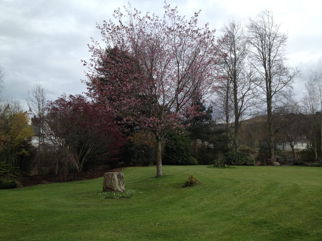 Raheen House Hotel Clonmel Dış mekan fotoğraf
